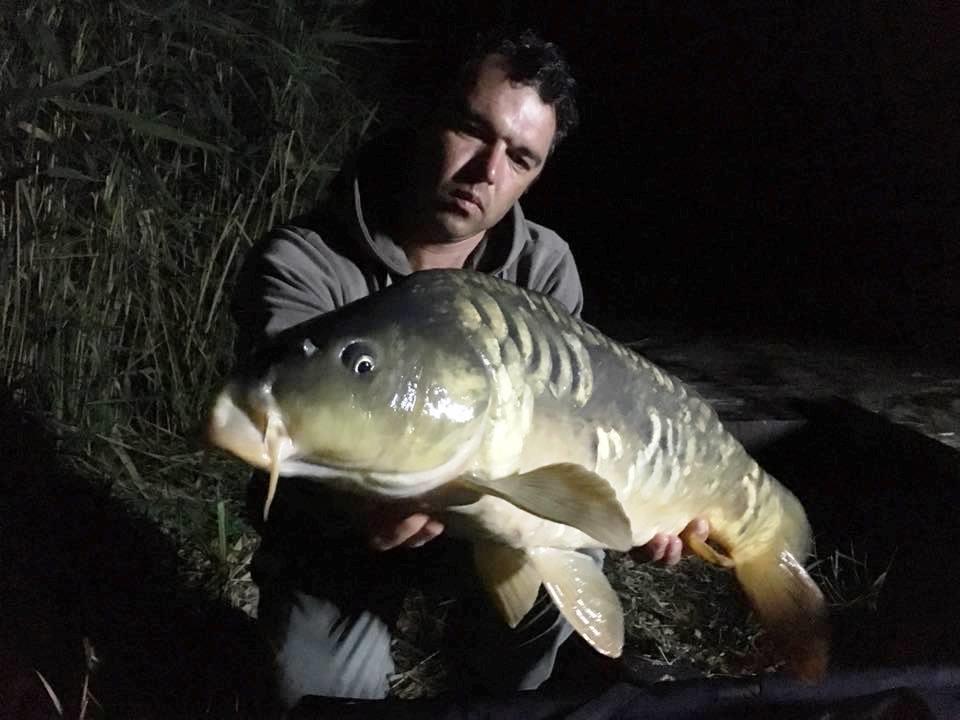 Bila 2 14 - 16 septembrie 2018